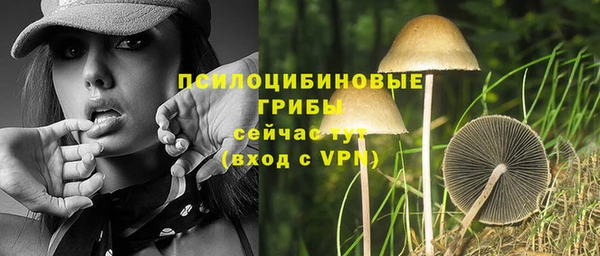 амф Балахна