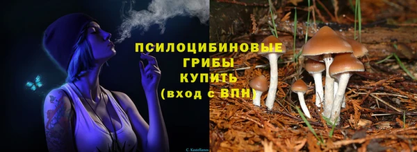 амф Балахна