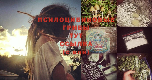амф Балахна